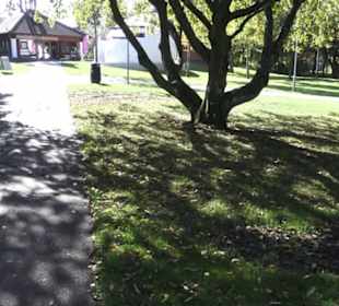 Fastnachtsmuseum Narrenschopf