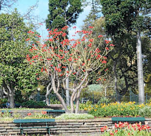 Parque de Santa Catarina