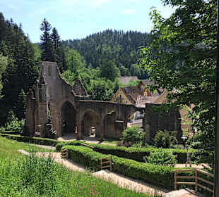 Klosterruine Allerheiligen