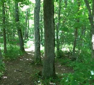 Premiumwanderweg "hochgelegen"