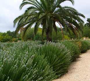 Giardini