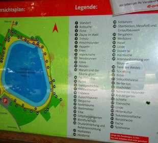 Das Oberbecken Happurger Stausee