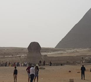 Sphinx und Pyramiden 