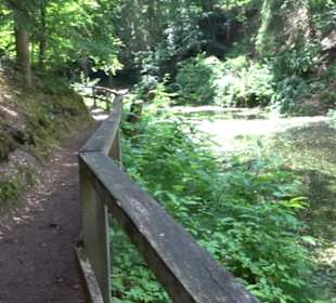 Wanderweg - Alter Steinbruch Pfaffenberg Runde