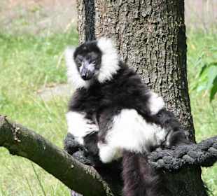 Serengeti Park Hodenhagen