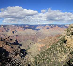 Grand Canyon N.P.