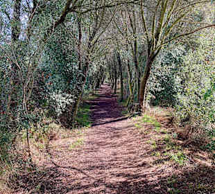 Naturpark S'Albufera
