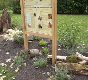 Blühendes Neresheim