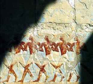 Bild vom Card Partner - "El Gouna Reisen"