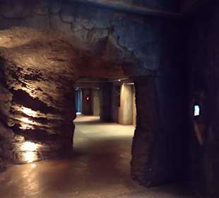 Lost Chambers (Hotel Atlantis)