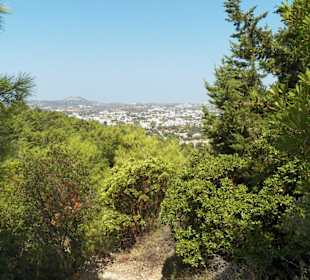 Profitis Amos, Faliraki