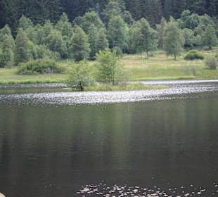 Der Sankebach See