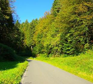 Wanderung zum Signalstein Fränk.Schweiz