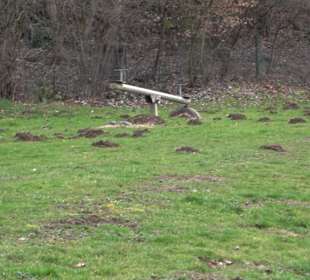 Spielplatz Heiligenbronn
