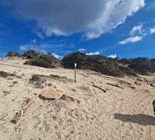 Platja de Ses Salines in Sant Josep de Sa Talaia