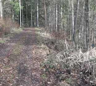 Rundwanderung durch den Rauhen Rammert Hemmendorf