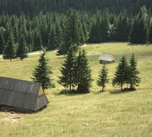 Tatrzański Park Narodowy