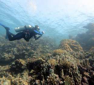 Schnorcheln Marsa Alam