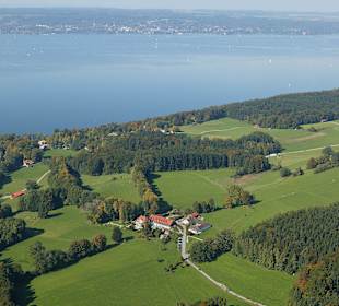 Allee zum Schlossgut Oberambach