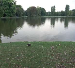 Kleinhesseloher See