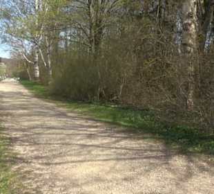 Aussichtspavillon Beutenlay