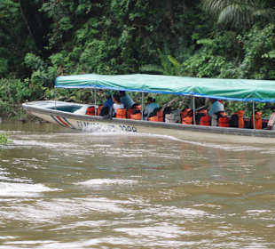 Rzeka nieopodal Tortuguero