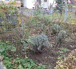 Martin-Luther-Kirche