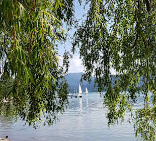 Der Tegernsee
