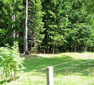 Wegeverlauf Grünsee