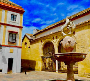 Plaza del Potro