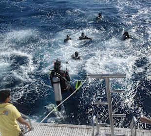 Tauch und Schnorcheltour