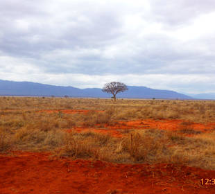 Tsavo Nationalpark