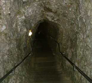 Eingang zur Höhle