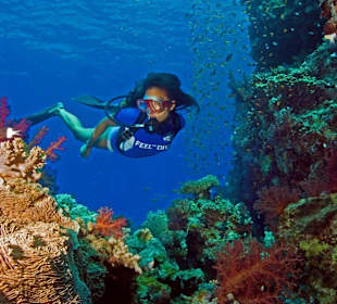 Tauchen im Roten Meer mit SUBEX Sahl Hasheesh