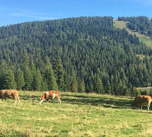 Wandern Hochrindl/Sirnitz