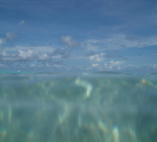 Schnorcheln am Hausriff