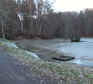 Ochsenweiher Rundweg