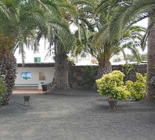 Museo Cesar Manrique