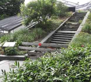 Mittelmeerterrassen - Alter Botaischer Garten