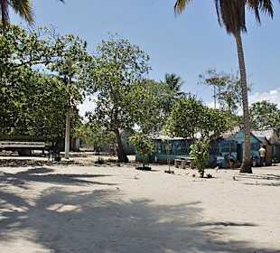 Tropical Beach Safari - Puerto Plata - DomRep Lifestyle - Ex