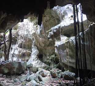 Tour & Ausflug Bayahibe