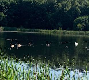 Wandern Friedrichroda