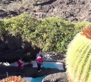 Fundacion Cesar Manrique