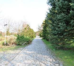 Wejście od strony parkingu.