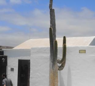 Fundacion Cesar Manrique Impression