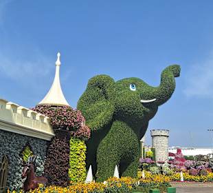 Dubai Miracle Garden