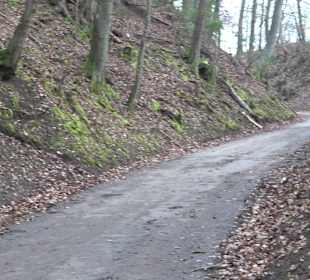 Unterjesinger Wengertwegle