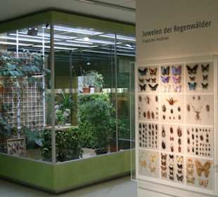 Insektarium