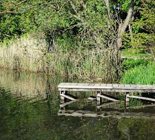 Impressionen vom Rundgang um den Südsee