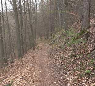 Wanderung rund um das Rusenschloss Gerhausen